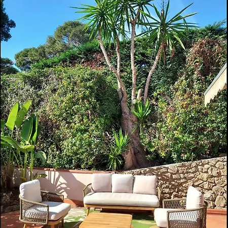 Cap D'antibes, Swimming Pool, Sea, Terrasse Antibes